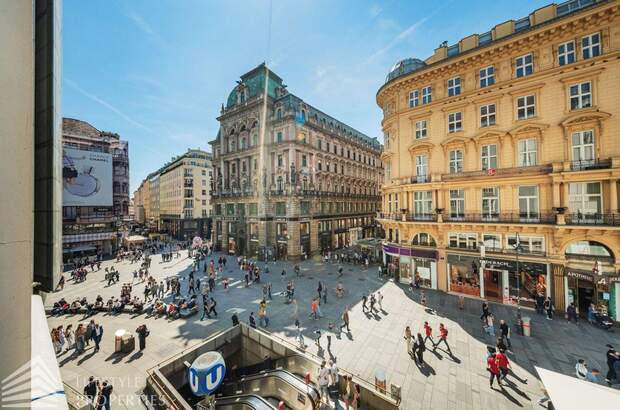 Eigentumswohnung in 1010 Wien (Bild 1)