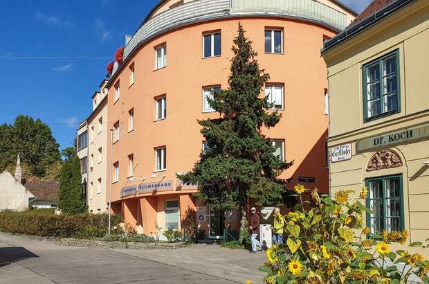 Mietwohnung in 1180 Wien (Bild 1)