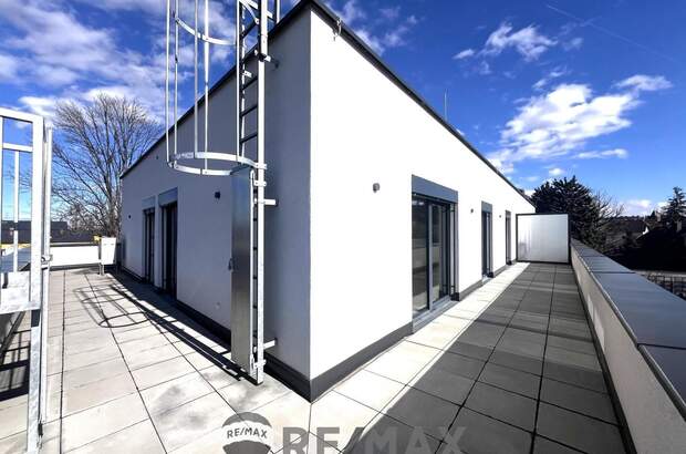 Terrassenwohnung kaufen in 2700 Wr. Neustadt (Bild 5)