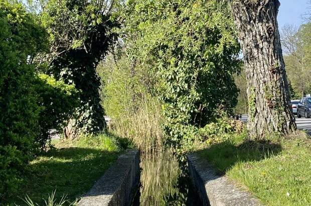 Grundstück kaufen in 2486 Pottendorf (Bild 4)