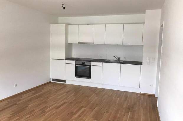 Terrassenwohnung mieten in 1220 Wien (Bild 1)