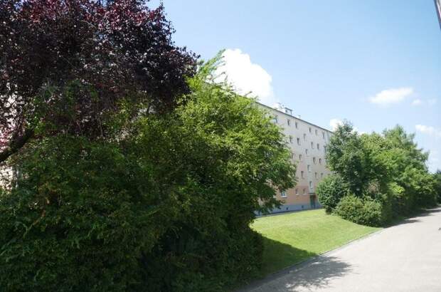 Wohnanlage kaufen in 2700 Wr. Neustadt (Bild 1)