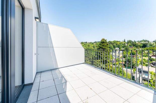 Terrassenwohnung mieten in 1190 Wien (Bild 3)