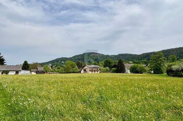 Grundstück kaufen in 9081 Reifnitz (Bild 4)