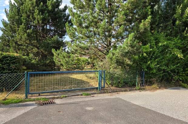Grundstück kaufen in 3932 Kirchberg (Bild 2)