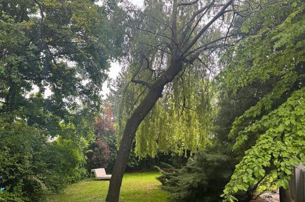 Haus mit Garten kaufen in 1230 Wien (Bild 3)