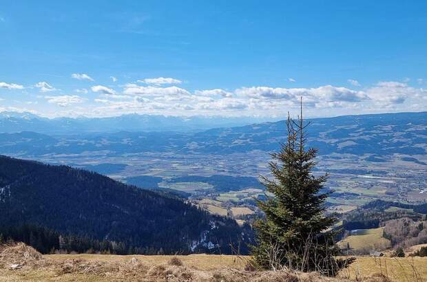 Grundstück kaufen in 9400 Wolfsberg (Bild 1)