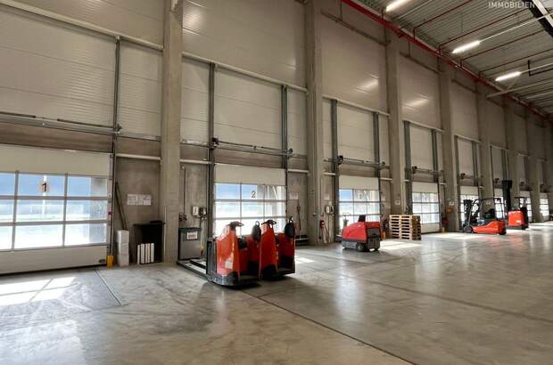 Gewerbeobjekt mieten in 2431 Enzersdorf (Bild 4)