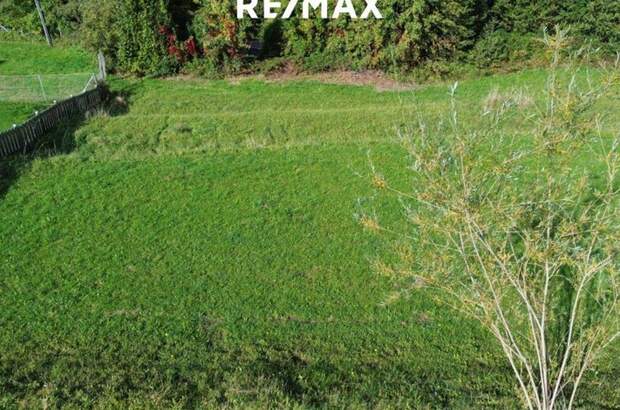 Grundstück kaufen in 4853 Steinbach (Bild 4)