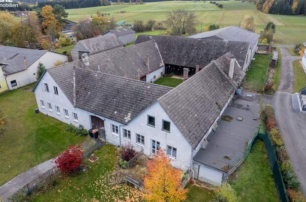 Haus mit Garten kaufen in 3961 Großdietmanns