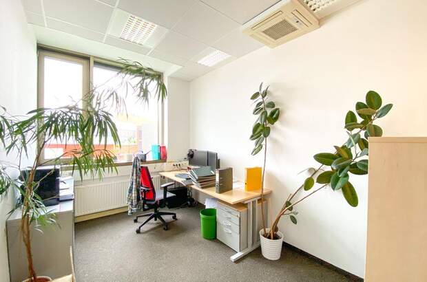 Gewerbeobjekt mieten in 5020 Salzburg (Bild 3)