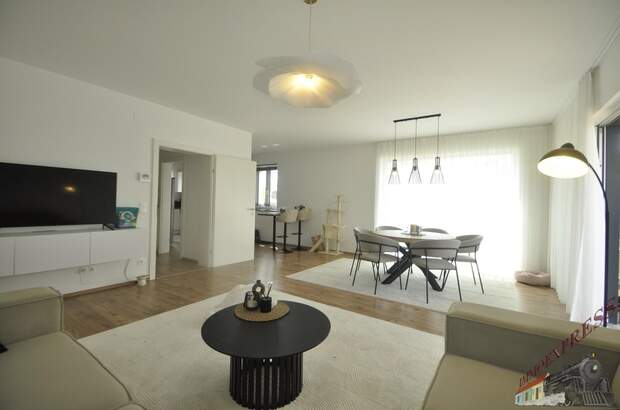 Mehrfamilienhaus kaufen in 3252 Petzenkirchen (Bild 2)