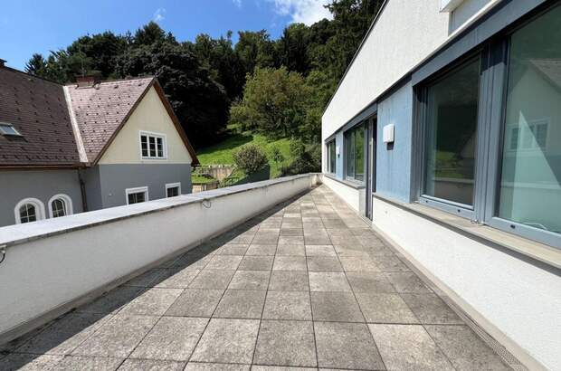 Gewerbeobjekt mieten in 8054 Graz (Bild 1)