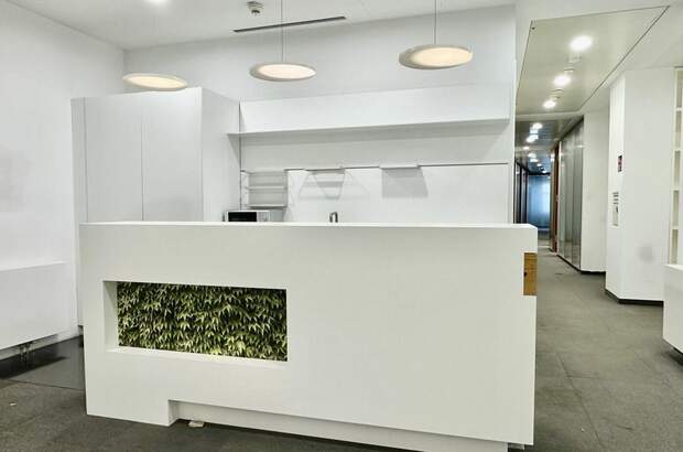 Gewerbeobjekt mieten in 1010 Wien (Bild 5)