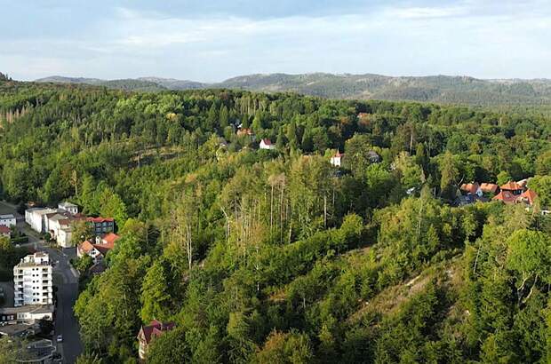 Haus kaufen in 37441 Bad Sachsa (Bild 3)
