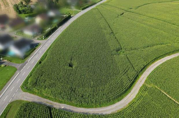 Gewerbeobjekt kaufen in 8421 Breitenfeld (Bild 5)