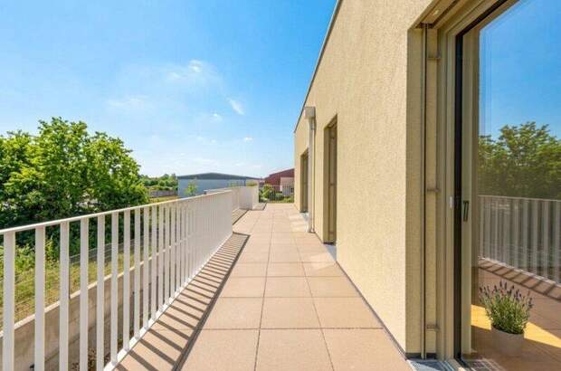 Terrassenwohnung kaufen in 2540 Bad Vöslau (Bild 4)