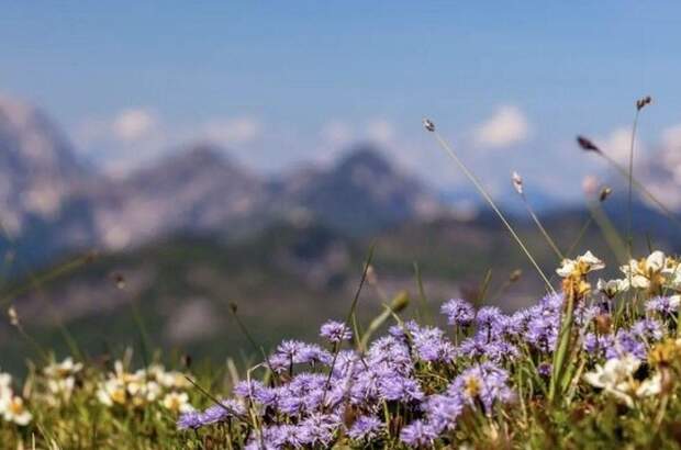 Grundstück kaufen in 9565 Ebene Reichenau (Bild 1)