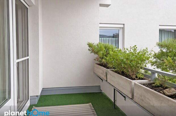 Terrassenwohnung kaufen in 7000 Eisenstadt (Bild 2)