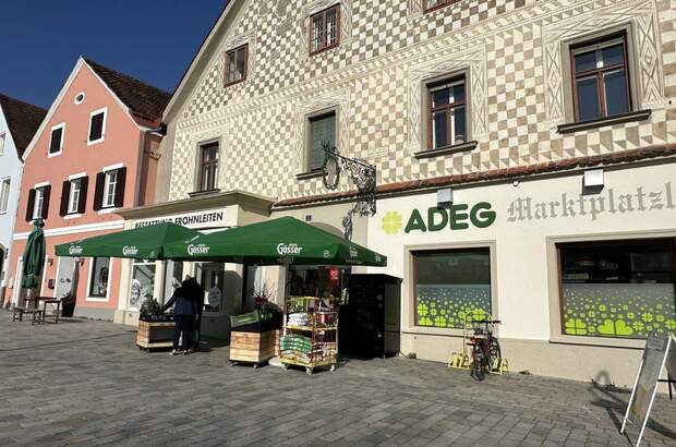 Gewerbeobjekt kaufen in 8130 Frohnleiten (Bild 1)