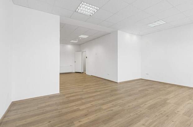 Gewerbeobjekt mieten in 2700 Wiener Neustadt (Bild 5)