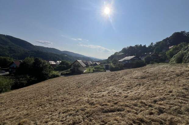 Grundstück kaufen in 8463 Leutschach (Bild 3)