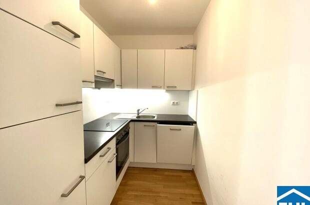 Terrassenwohnung mieten in 1090 Wien (Bild 3)