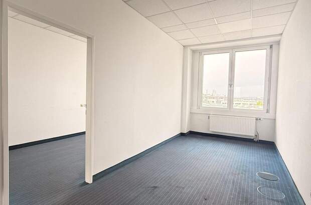 Gewerbeobjekt mieten in 2320 Schwechat (Bild 3)