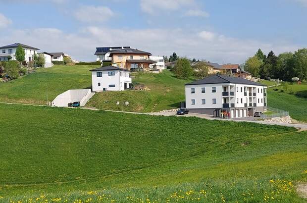 Einfamilienhaus kaufen in 4323 Münzbach (Bild 4)
