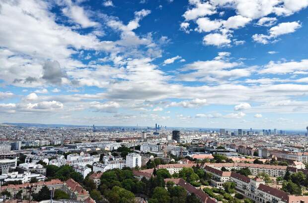 Wohnung kaufen in 1100 Wien (Bild 1)