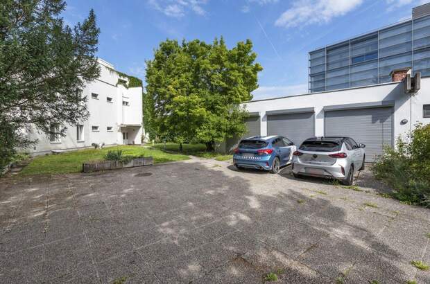 Gewerbeobjekt kaufen in 2700 Wiener Neustadt (Bild 3)