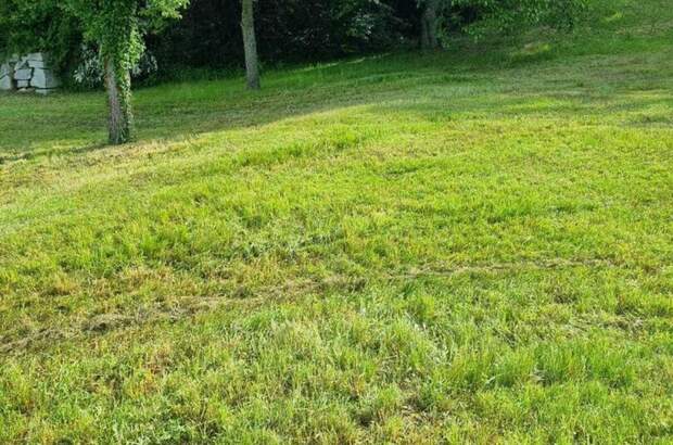 Grundstück kaufen in 4111 Walding (Bild 4)