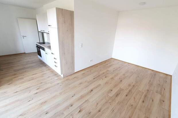 Terrassenwohnung mieten in 8461 Ehrenhausen (Bild 2)