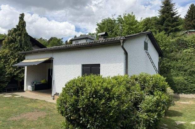 Anlageobjekt kaufen in 4224 Obervisnitz (Bild 1)