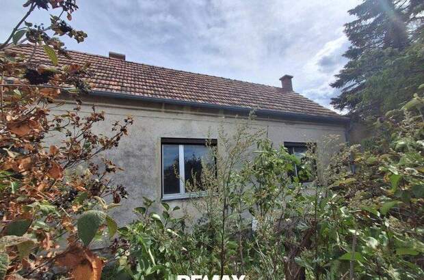 Einfamilienhaus kaufen in 7053 Hornstein (Bild 1)