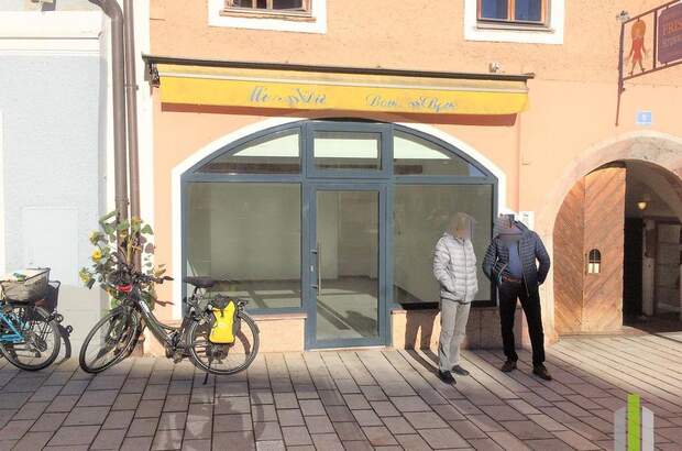 Gewerbeobjekt mieten in 5400 Hallein (Bild 5)