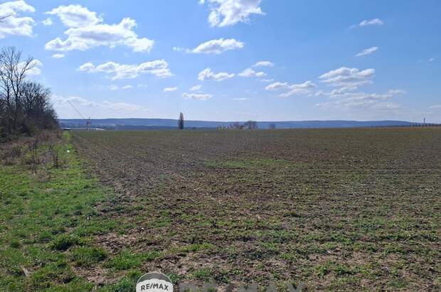 Grundstück kaufen in 2460 Bruck an der Leitha