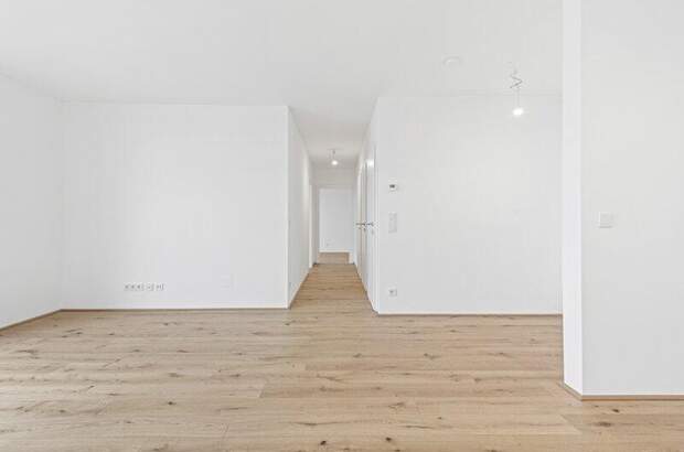 Terrassenwohnung kaufen in 2540 Bad Vöslau (Bild 5)