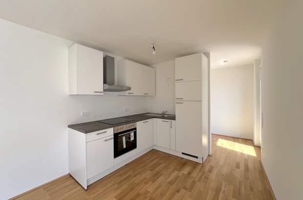 Terrassenwohnung mieten in 1110 Wien (Bild 3)
