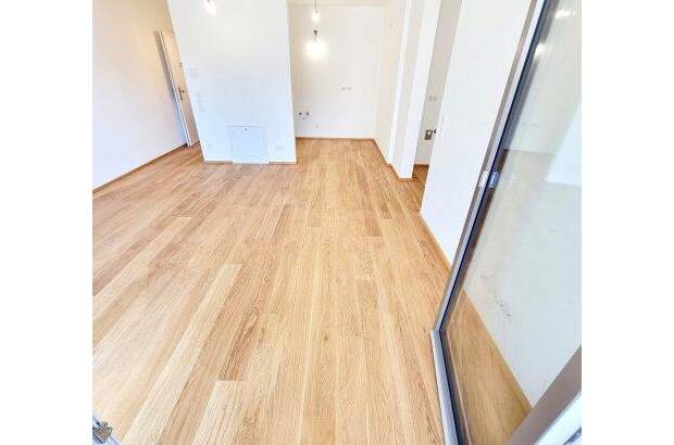 Terrassenwohnung kaufen in 1230 Wien (Bild 4)