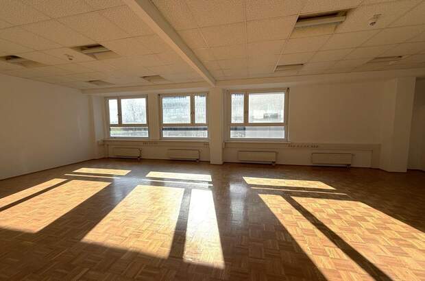 Gewerbeobjekt mieten in 8141 Oberpremstätten (Bild 5)