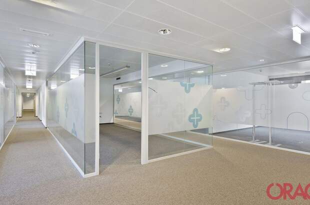 Gewerbeobjekt mieten in 1020 Wien (Bild 4)