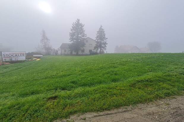 Grundstück kaufen in 4441 Behamberg (Bild 2)