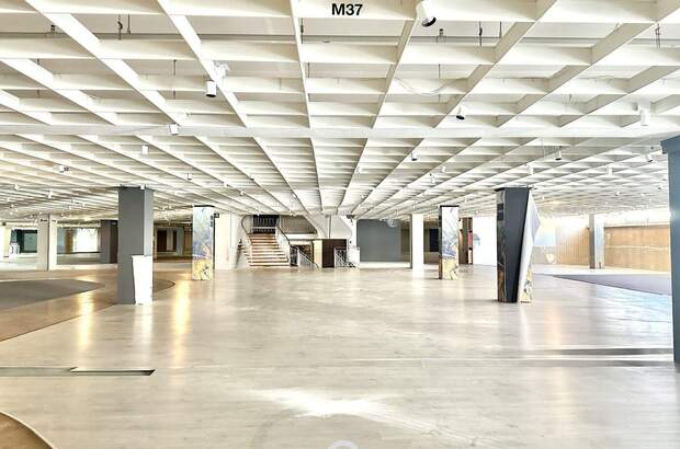 Gewerbeobjekt mieten in 4020 Linz (Bild 3)