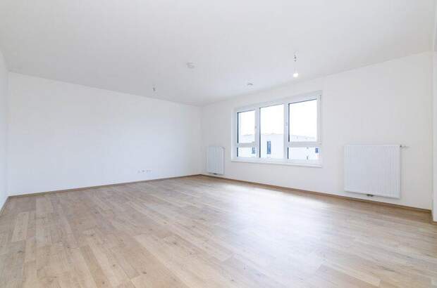 Terrassenwohnung kaufen in 2700 Wr. Neustadt (Bild 3)