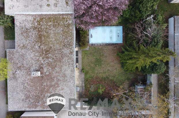 Einfamilienhaus kaufen in 2344 Maria Enzersdorf (Bild 4)