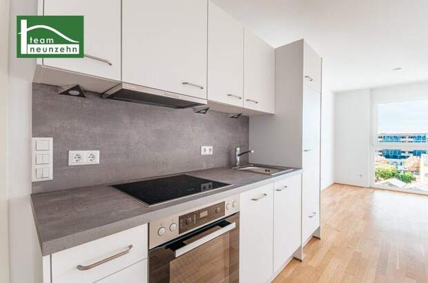 Terrassenwohnung kaufen in 1220 Wien (Bild 1)