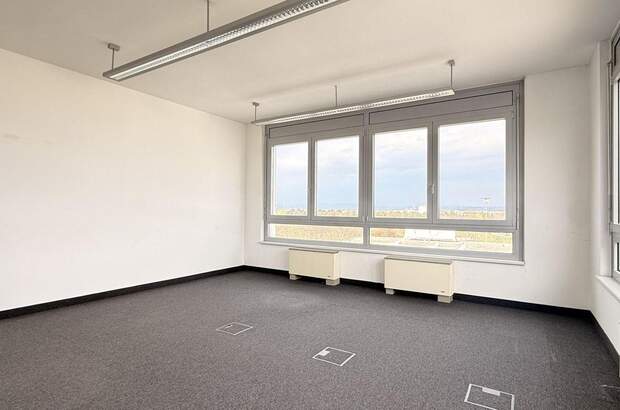 Gewerbeobjekt mieten in 2320 Schwechat (Bild 5)
