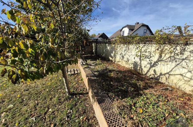 Einfamilienhaus kaufen in 2304 Orth (Bild 3)
