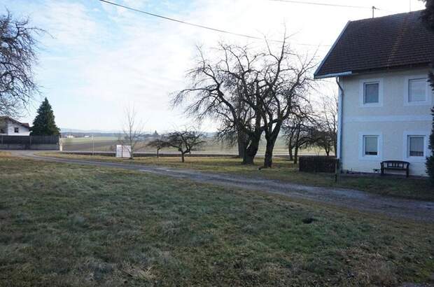 Gewerbeobjekt kaufen in 4912 Neuhofen (Bild 3)